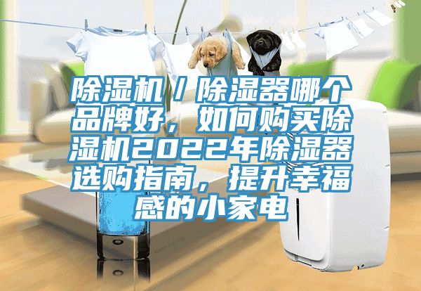 除濕機／除濕器哪個品牌好，如何購買除濕機2022年除濕器選購指南，提升幸福感的小家電