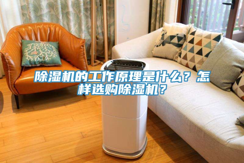 除濕機的工作原理是什么？怎樣選購除濕機？